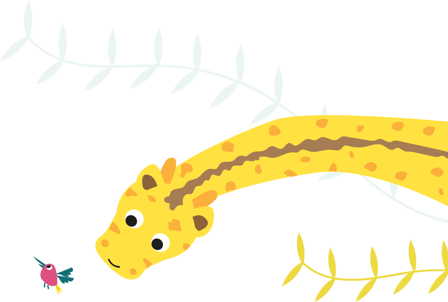 Giraffe