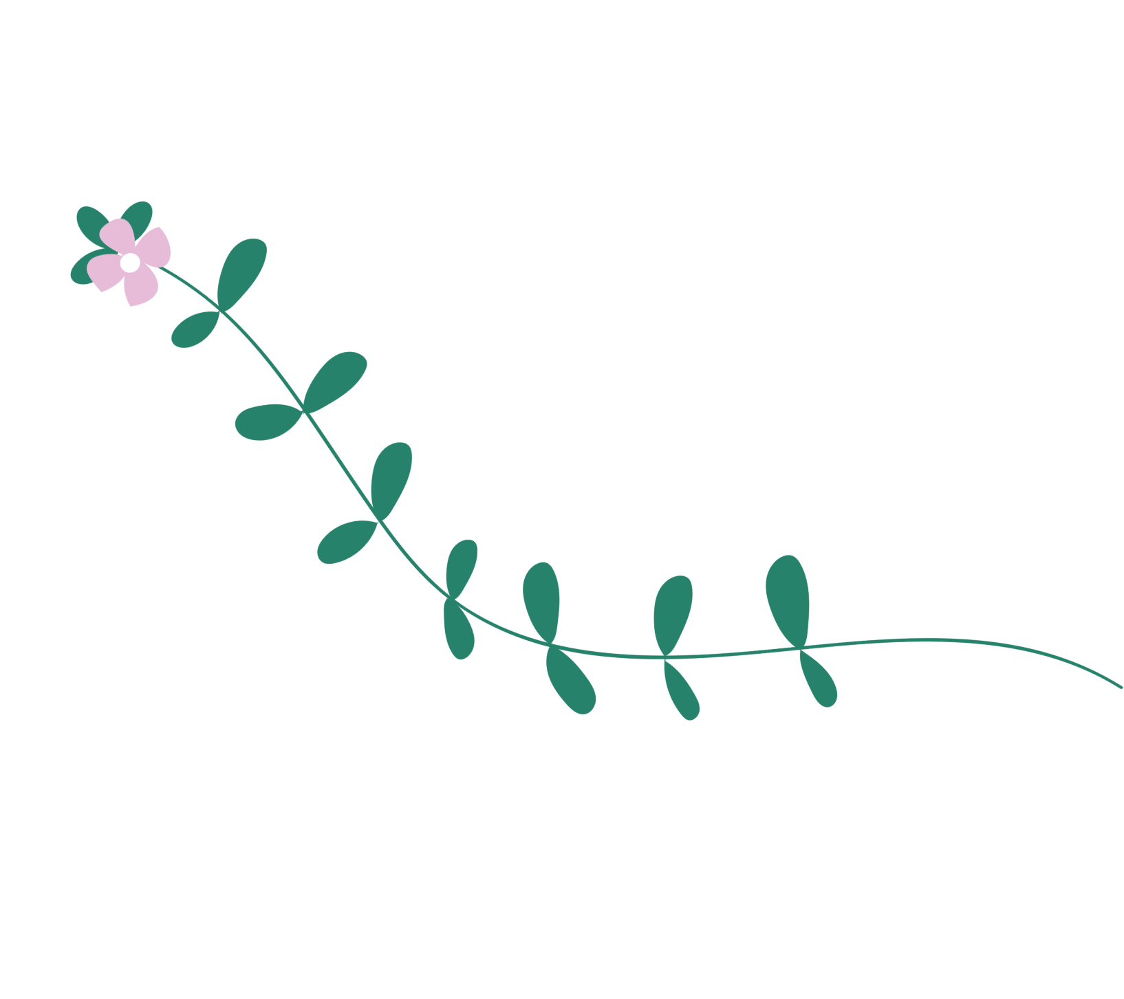 Vine